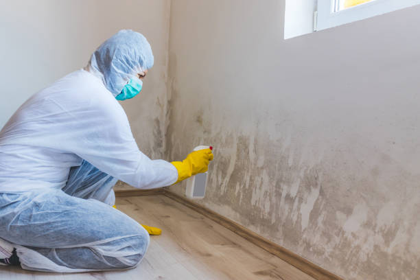 Crawl Space Mold Removal in Copperton, UT