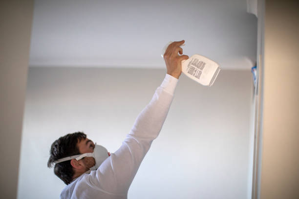 Best Same-Day Mold Removal  in Copperton, UT