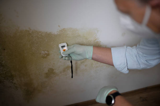 Best Crawl Space Mold Removal  in Copperton, UT