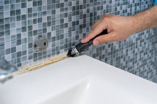 Best Office Mold Removal Services  in Copperton, UT