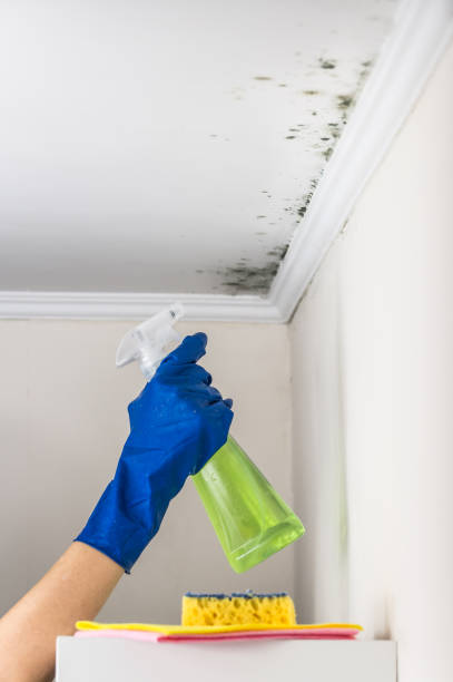 Best Crawl Space Mold Removal  in Copperton, UT